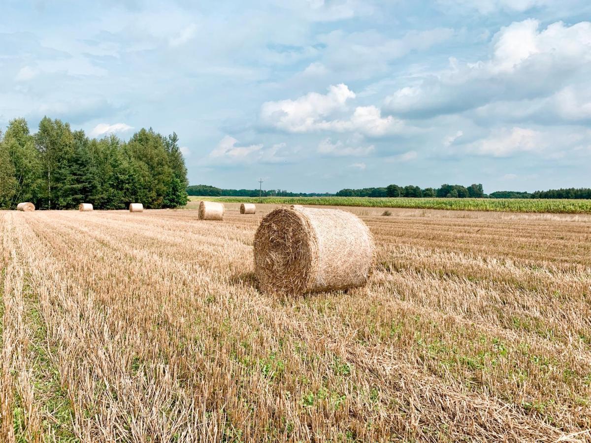 Agroturystyka Sielanka Przasnysz Kültér fotó